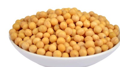 生产大豆活性肽用哪种酶制剂？