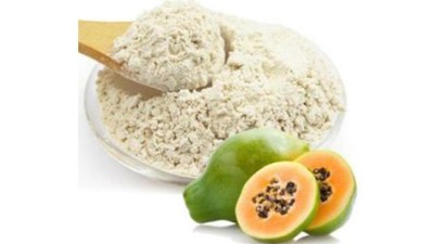 蛋白酶在食品加工中有哪些作用？