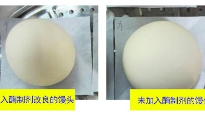 一文详解面包酶制剂有什么作用？