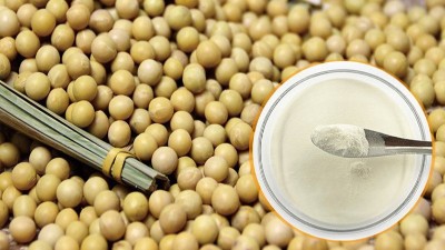 酶解法制备大豆蛋白肽具有什么优势？