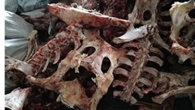 牛骨、猪骨蛋白胨生产，适合的酶制剂有哪些呢？